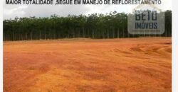 Fazenda TOP Produtiva Lavoura Pasto 46.623 hectares e Pista de Pouso | Paragominas/ PA