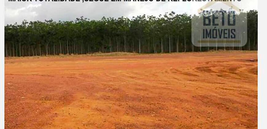 Fazenda TOP Produtiva Lavoura Pasto 46.623 hectares e Pista de Pouso | Paragominas/ PA