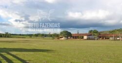 Fazenda c/ Rebanho 25mil cabeças de gado, avião e pista de pouso | Rondolândia/ MT Fazenda c/ Rebanho 25mil cabeças de gado, avião e pista de pouso | Rondolândia/ MT