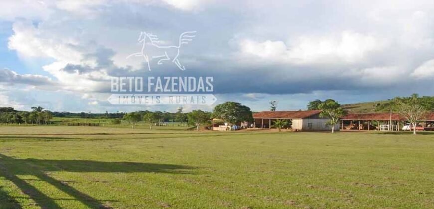 Fazenda c/ Rebanho 25mil cabeças de gado, avião e pista de pouso | Rondolândia/ MT Fazenda c/ Rebanho 25mil cabeças de gado, avião e pista de pouso | Rondolândia/ MT
