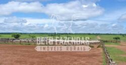 Fazenda c/ Rebanho 25mil cabeças de gado, avião e pista de pouso | Rondolândia/ MT Fazenda c/ Rebanho 25mil cabeças de gado, avião e pista de pouso | Rondolândia/ MT