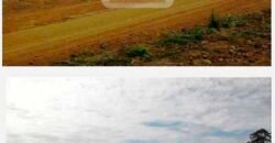 Fazenda TOP Produtiva Lavoura Pasto 46.623 hectares e Pista de Pouso | Paragominas/ PA