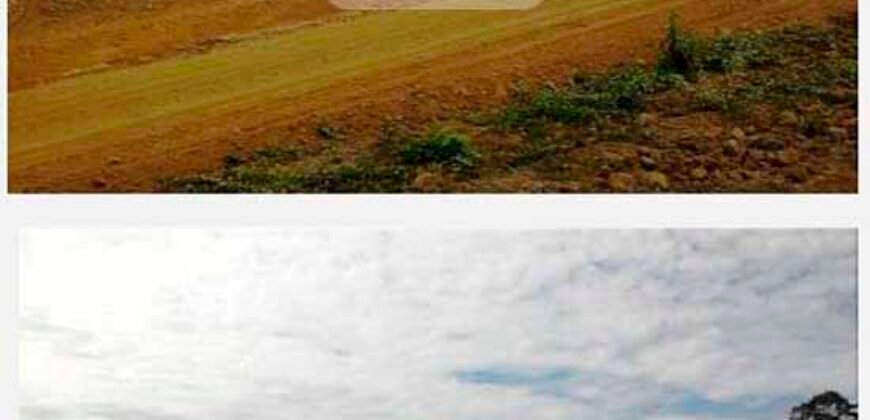 Fazenda TOP Produtiva Lavoura Pasto 46.623 hectares e Pista de Pouso | Paragominas/ PA