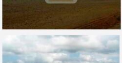 Fazenda TOP Produtiva Lavoura Pasto 46.623 hectares e Pista de Pouso | Paragominas/ PA