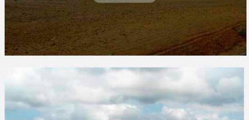 Fazenda TOP Produtiva Lavoura Pasto 46.623 hectares e Pista de Pouso | Paragominas/ PA