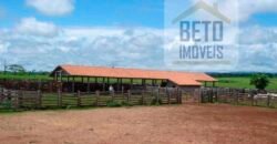 Fazenda c/ Rebanho 25mil cabeças de gado, avião e pista de pouso | Rondolândia/ MT Fazenda c/ Rebanho 25mil cabeças de gado, avião e pista de pouso | Rondolândia/ MT