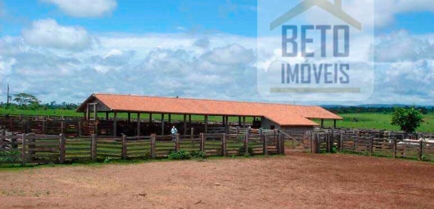 Fazenda c/ Rebanho 25mil cabeças de gado, avião e pista de pouso | Rondolândia/ MT Fazenda c/ Rebanho 25mil cabeças de gado, avião e pista de pouso | Rondolândia/ MT