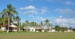 Fazenda c/ Rebanho 25mil cabeças de gado, avião e pista de pouso | Rondolândia/ MT Fazenda c/ Rebanho 25mil cabeças de gado, avião e pista de pouso | Rondolândia/ MT