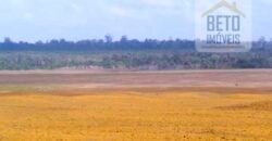 Fazenda TOP Produtiva Lavoura Pasto 46.623 hectares e Pista de Pouso | Paragominas/ PA
