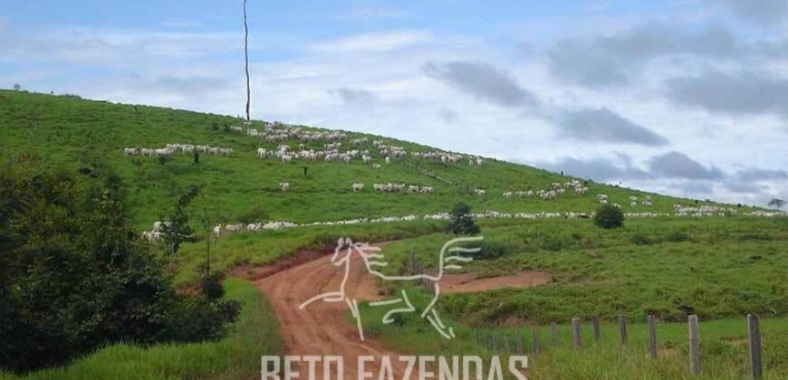 Fazenda à Venda Completíssima 149.166 hectares 4 Pistas de Pouso | Rondolândia/ MT