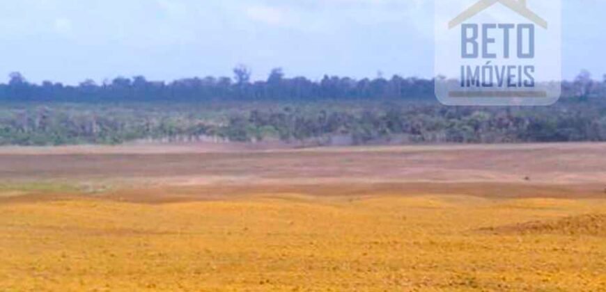 Fazenda TOP Produtiva Lavoura Pasto 46.623 hectares e Pista de Pouso | Paragominas/ PA