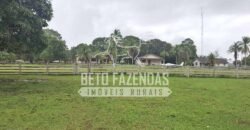 Fazenda c/ Rebanho 25mil cabeças de gado, avião e pista de pouso | Rondolândia/ MT Fazenda c/ Rebanho 25mil cabeças de gado, avião e pista de pouso | Rondolândia/ MT