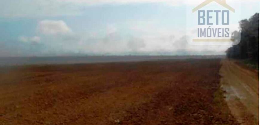 Fazenda TOP Produtiva Lavoura Pasto 46.623 hectares e Pista de Pouso | Paragominas/ PA