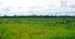 Fazenda c/ Rebanho 25mil cabeças de gado, avião e pista de pouso | Rondolândia/ MT Fazenda c/ Rebanho 25mil cabeças de gado, avião e pista de pouso | Rondolândia/ MT
