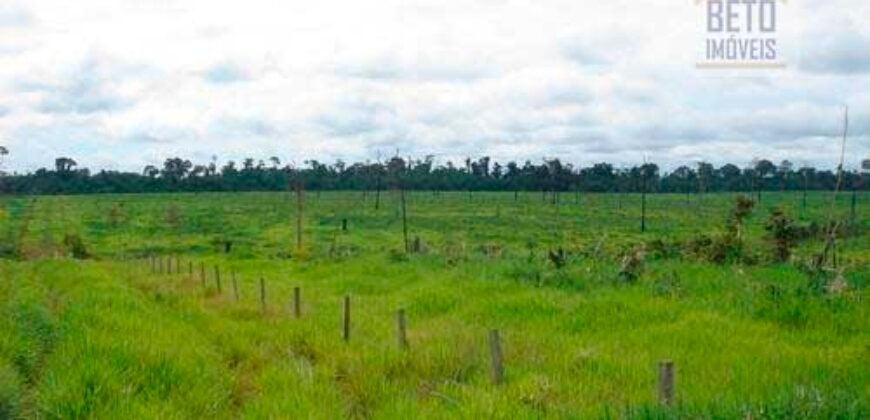 Fazenda c/ Rebanho 25mil cabeças de gado, avião e pista de pouso | Rondolândia/ MT Fazenda c/ Rebanho 25mil cabeças de gado, avião e pista de pouso | Rondolândia/ MT