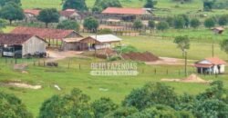 Fazenda c/ Rebanho 25mil cabeças de gado, avião e pista de pouso | Rondolândia/ MT Fazenda c/ Rebanho 25mil cabeças de gado, avião e pista de pouso | Rondolândia/ MT