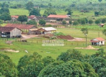 Fazenda c/ Rebanho 25mil cabeças de gado, avião e pista de pouso | Rondolândia/ MT Fazenda c/ Rebanho 25mil cabeças de gado, avião e pista de pouso | Rondolândia/ MT