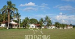 Fazenda à Venda Completíssima 149.166 hectares 4 Pistas de Pouso | Rondolândia/ MT