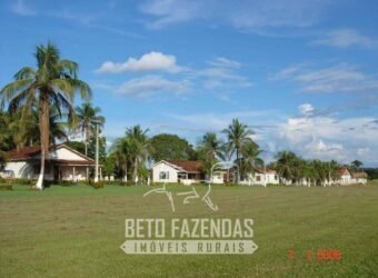 Fazenda à Venda Completíssima 149.166 hectares 4 Pistas de Pouso | Rondolândia/ MT