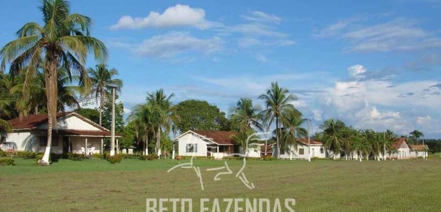 Fazenda à Venda Completíssima 149.166 hectares 4 Pistas de Pouso | Rondolândia/ MT