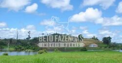 Fazenda c/ Rebanho 25mil cabeças de gado, avião e pista de pouso | Rondolândia/ MT Fazenda c/ Rebanho 25mil cabeças de gado, avião e pista de pouso | Rondolândia/ MT