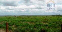 Fazenda TOP Produtiva Lavoura Pasto 46.623 hectares e Pista de Pouso | Paragominas/ PA