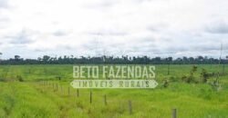 Fazenda c/ Rebanho 25mil cabeças de gado, avião e pista de pouso | Rondolândia/ MT Fazenda c/ Rebanho 25mil cabeças de gado, avião e pista de pouso | Rondolândia/ MT