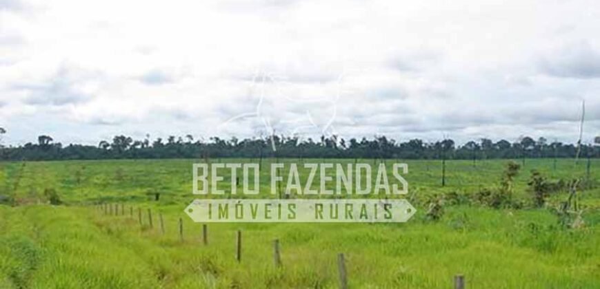 Fazenda c/ Rebanho 25mil cabeças de gado, avião e pista de pouso | Rondolândia/ MT Fazenda c/ Rebanho 25mil cabeças de gado, avião e pista de pouso | Rondolândia/ MT