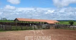 Fazenda à Venda Completíssima 149.166 hectares 4 Pistas de Pouso | Rondolândia/ MT