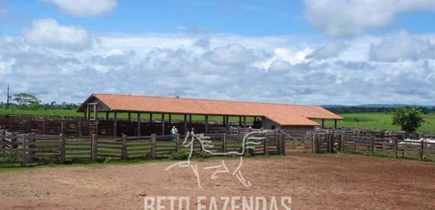 Fazenda à Venda Completíssima 149.166 hectares 4 Pistas de Pouso | Rondolândia/ MT