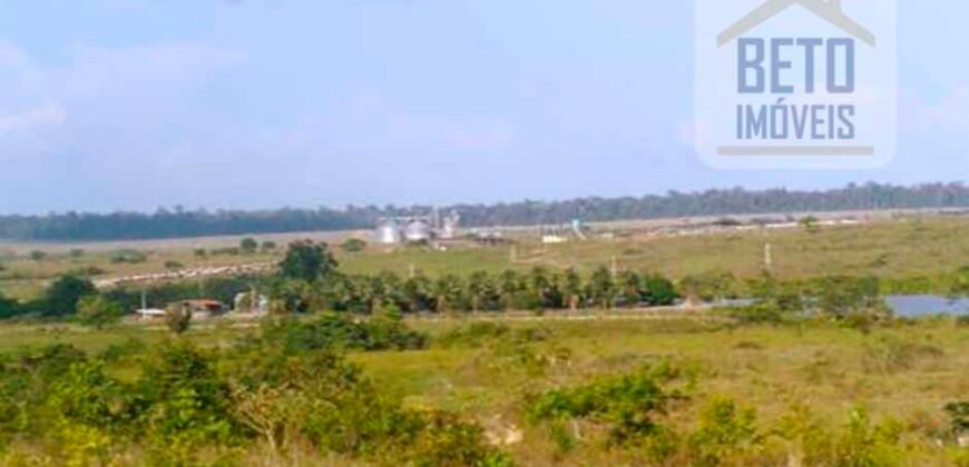 Fazenda TOP Produtiva Lavoura Pasto 46.623 hectares e Pista de Pouso | Paragominas/ PA