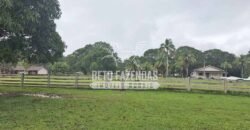 Fazenda c/ Rebanho 25mil cabeças de gado, avião e pista de pouso | Rondolândia/ MT Fazenda c/ Rebanho 25mil cabeças de gado, avião e pista de pouso | Rondolândia/ MT