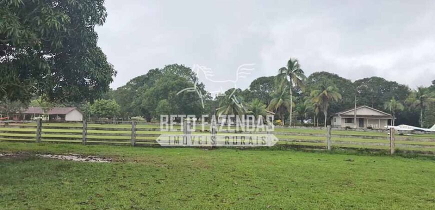 Fazenda c/ Rebanho 25mil cabeças de gado, avião e pista de pouso | Rondolândia/ MT Fazenda c/ Rebanho 25mil cabeças de gado, avião e pista de pouso | Rondolândia/ MT