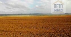 Fazenda TOP Produtiva Lavoura Pasto 46.623 hectares e Pista de Pouso | Paragominas/ PA