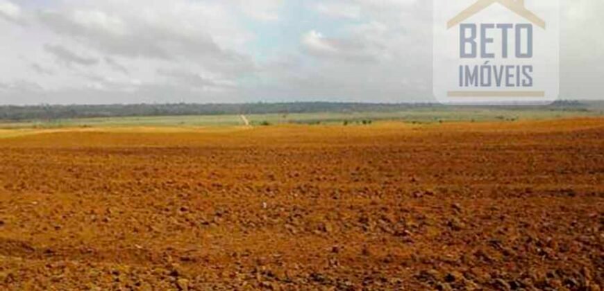 Fazenda TOP Produtiva Lavoura Pasto 46.623 hectares e Pista de Pouso | Paragominas/ PA