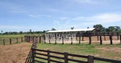 Fazenda c/ Rebanho 25mil cabeças de gado, avião e pista de pouso | Rondolândia/ MT Fazenda c/ Rebanho 25mil cabeças de gado, avião e pista de pouso | Rondolândia/ MT