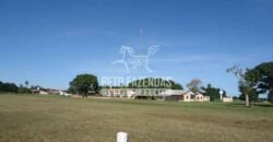 Fazenda c/ Rebanho 25mil cabeças de gado, avião e pista de pouso | Rondolândia/ MT Fazenda c/ Rebanho 25mil cabeças de gado, avião e pista de pouso | Rondolândia/ MT