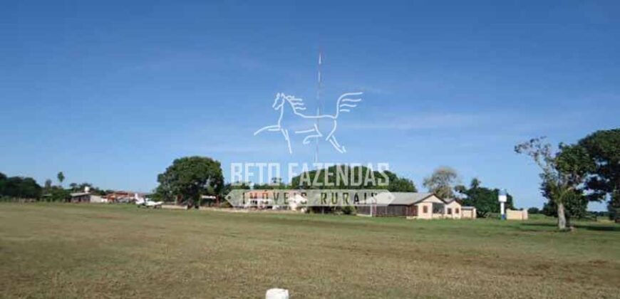 Fazenda c/ Rebanho 25mil cabeças de gado, avião e pista de pouso | Rondolândia/ MT Fazenda c/ Rebanho 25mil cabeças de gado, avião e pista de pouso | Rondolândia/ MT