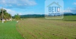 Fazenda c/ Rebanho 25mil cabeças de gado, avião e pista de pouso | Rondolândia/ MT Fazenda c/ Rebanho 25mil cabeças de gado, avião e pista de pouso | Rondolândia/ MT