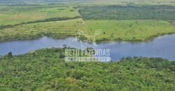 Fazenda c/ Rebanho 25mil cabeças de gado, avião e pista de pouso | Rondolândia/ MT Fazenda c/ Rebanho 25mil cabeças de gado, avião e pista de pouso | Rondolândia/ MT