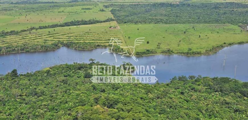 Fazenda c/ Rebanho 25mil cabeças de gado, avião e pista de pouso | Rondolândia/ MT Fazenda c/ Rebanho 25mil cabeças de gado, avião e pista de pouso | Rondolândia/ MT