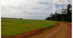 Fazenda TOP Produtiva Lavoura Pasto 46.623 hectares e Pista de Pouso | Paragominas/ PA