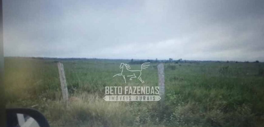 Fazenda à Venda Completíssima 149.166 hectares 4 Pistas de Pouso | Rondolândia/ MT