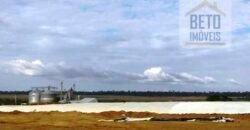 Fazenda TOP Produtiva Lavoura Pasto 46.623 hectares e Pista de Pouso | Paragominas/ PA