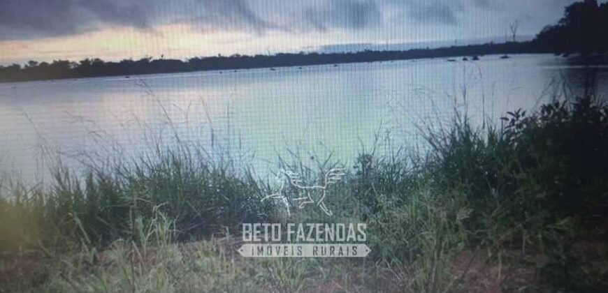 Fazenda à Venda Completíssima 149.166 hectares 4 Pistas de Pouso | Rondolândia/ MT