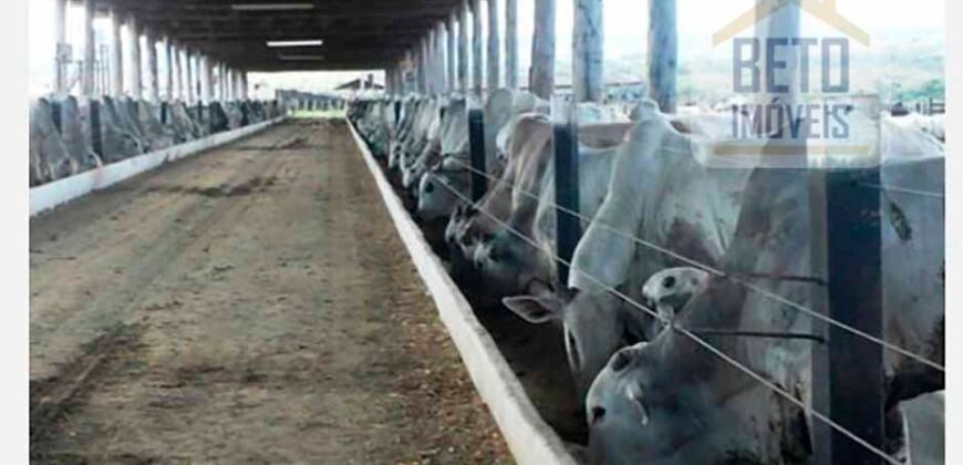 Fazenda TOP Produtiva Lavoura Pasto 46.623 hectares e Pista de Pouso | Paragominas/ PA