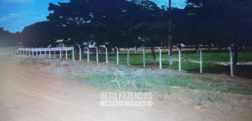 Fazenda à Venda Completíssima 149.166 hectares 4 Pistas de Pouso | Rondolândia/ MT