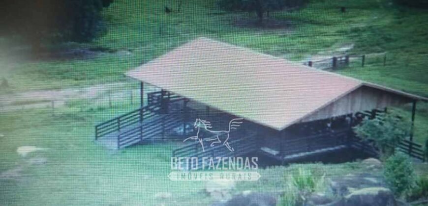 Fazenda à Venda Completíssima 149.166 hectares 4 Pistas de Pouso | Rondolândia/ MT