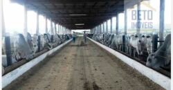 Fazenda TOP Produtiva Lavoura Pasto 46.623 hectares e Pista de Pouso | Paragominas/ PA