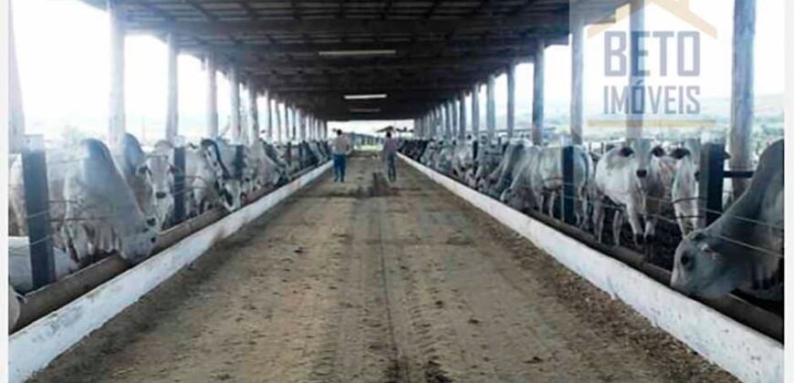 Fazenda TOP Produtiva Lavoura Pasto 46.623 hectares e Pista de Pouso | Paragominas/ PA